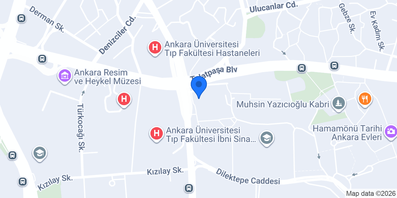 Hacettepe Konukevi 2 konumu