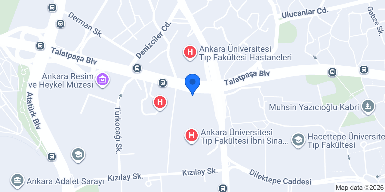Doç. Dr. Arda Demirkan konumu