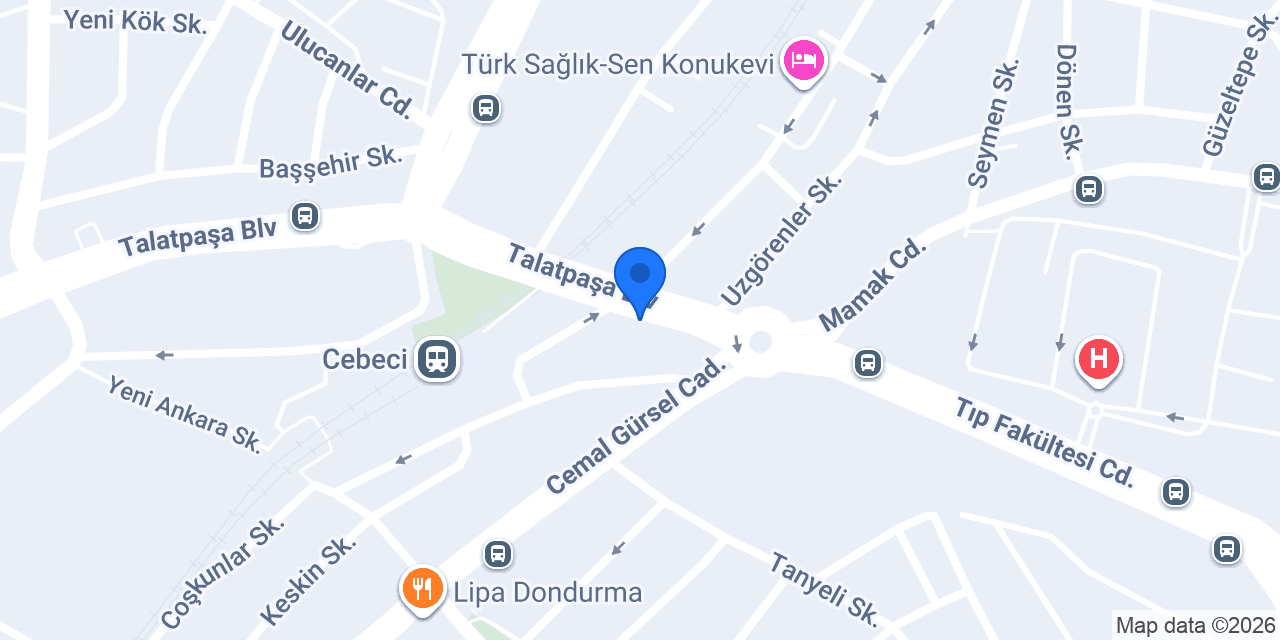 Beynes konumu