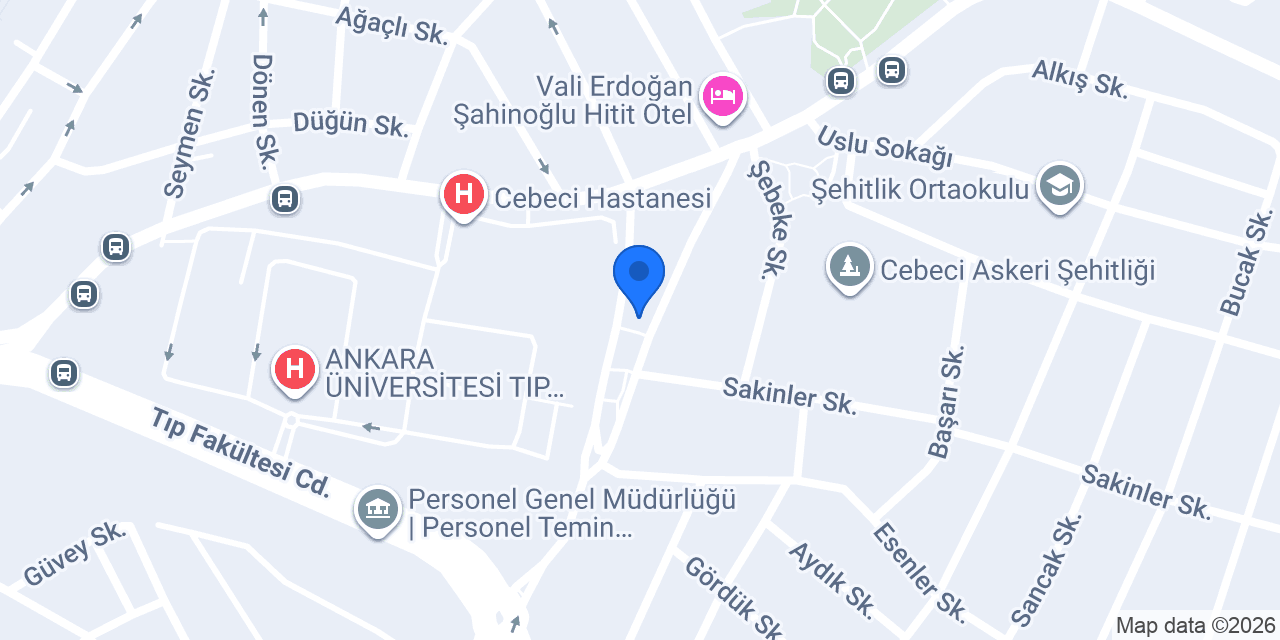 Prof Oto Yikama konumu