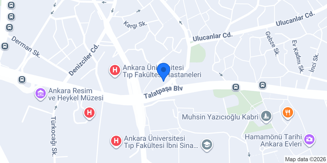 29 Mayıs Eczanesi konumu