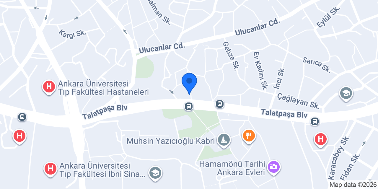 TİMURLAR SİGORTA HAMAMÖNÜ ŞUBESİ konumu