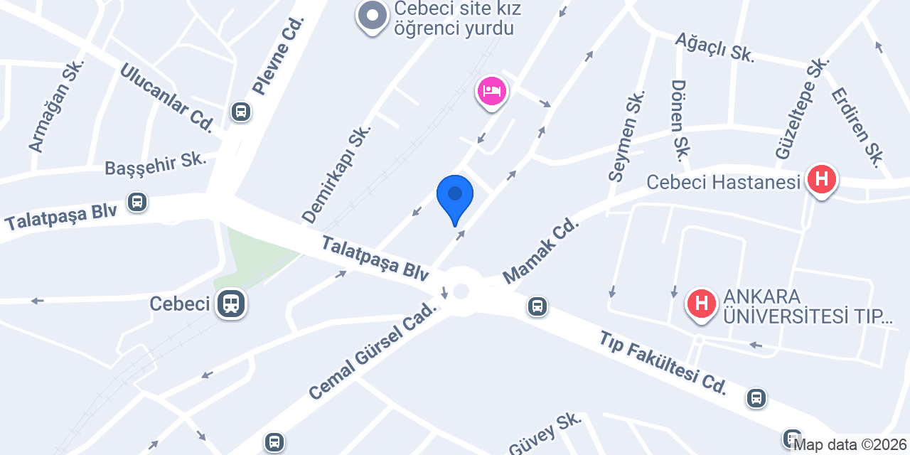 ELİF TERZİ konumu