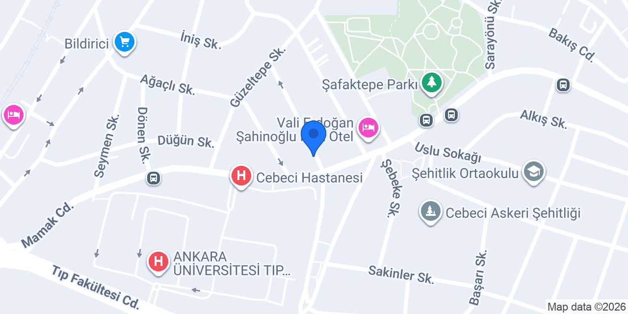 Pınar Terzi konumu