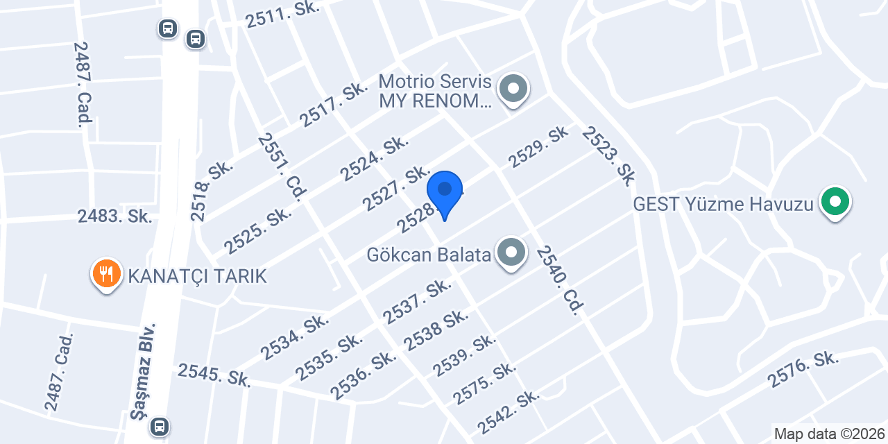Öz şahinler otomotiv konumu