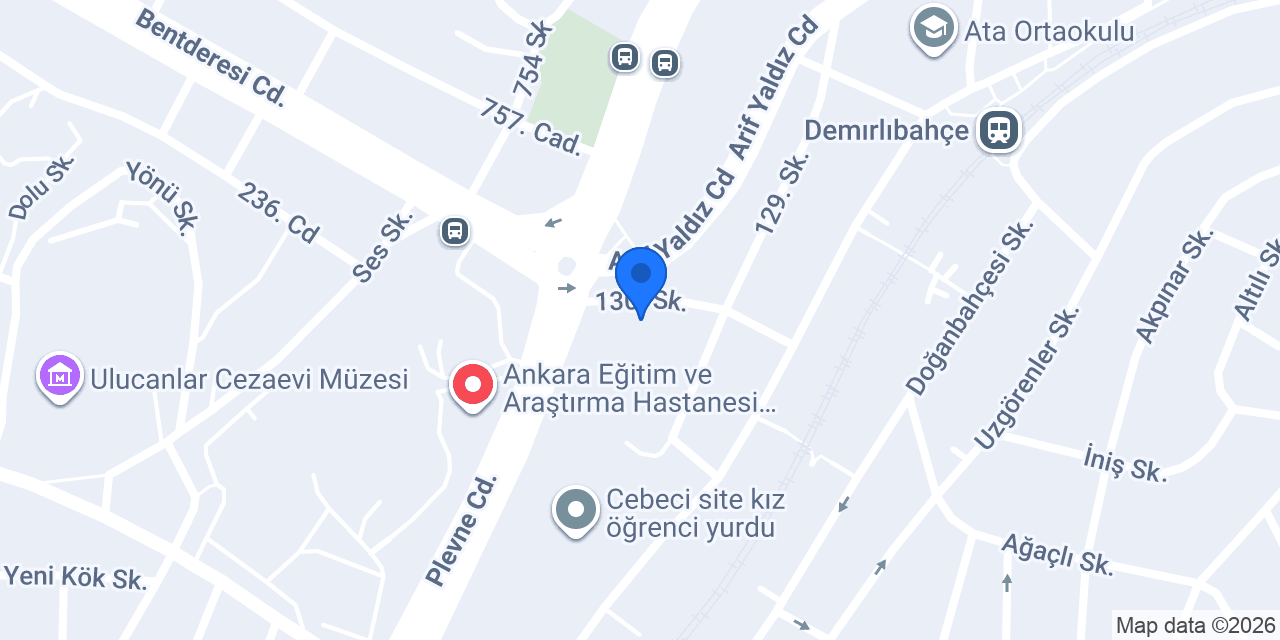 Nuray Terzi konumu