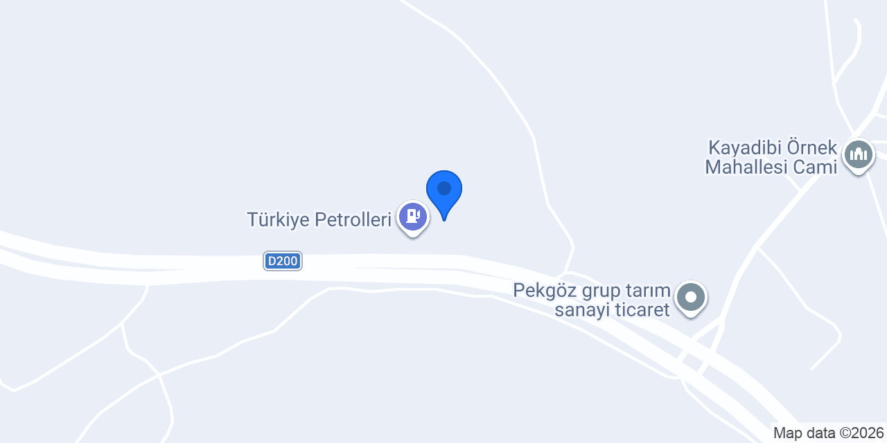Ligoil konumu