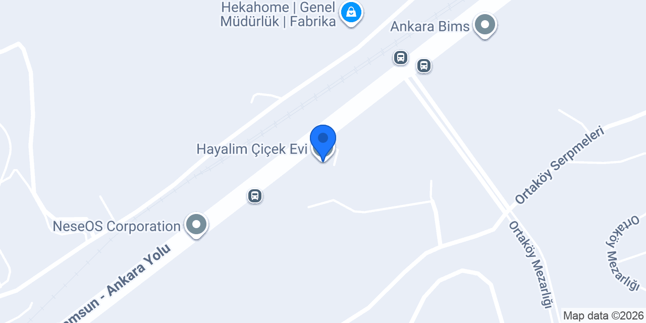 Hayalim Çiçek Evi konumu