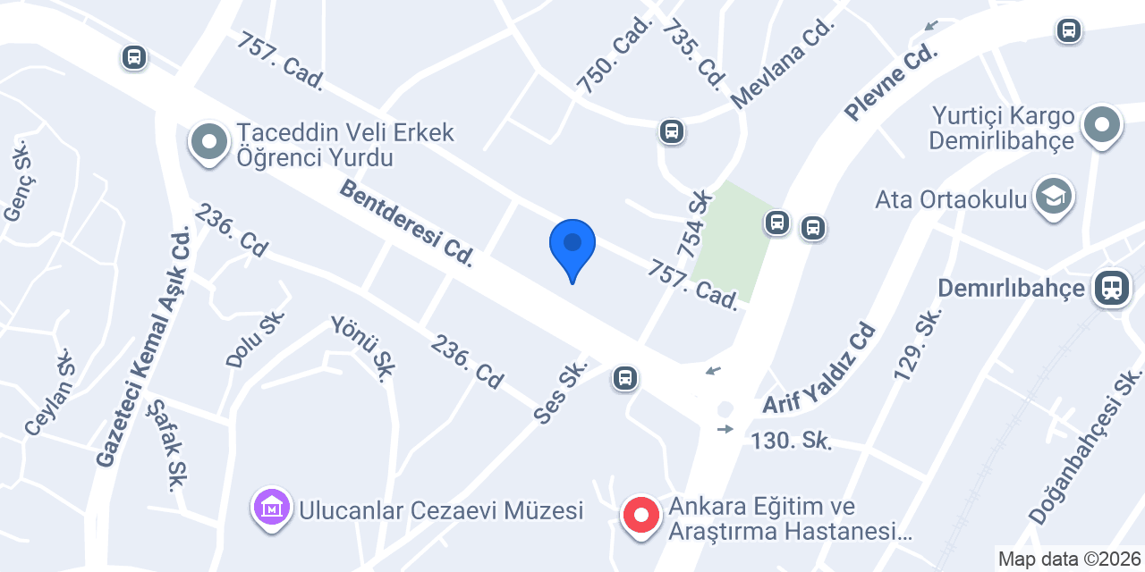 Karanfil Oyuncak konumu