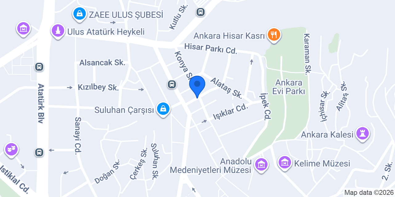 ES ELEKTRONİK konumu