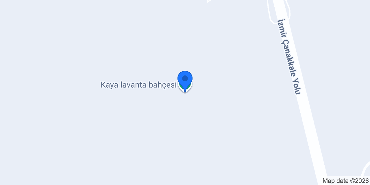 Kaya lavanta bahçesi konumu