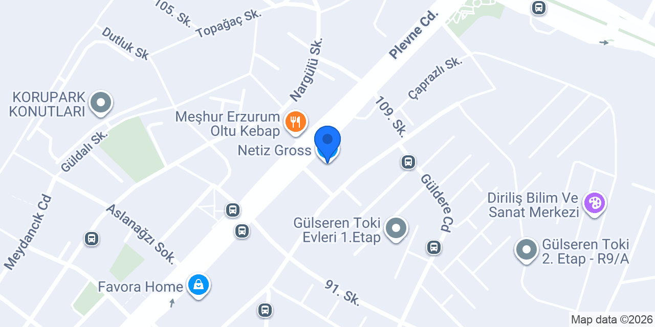 Netiz Gross konumu