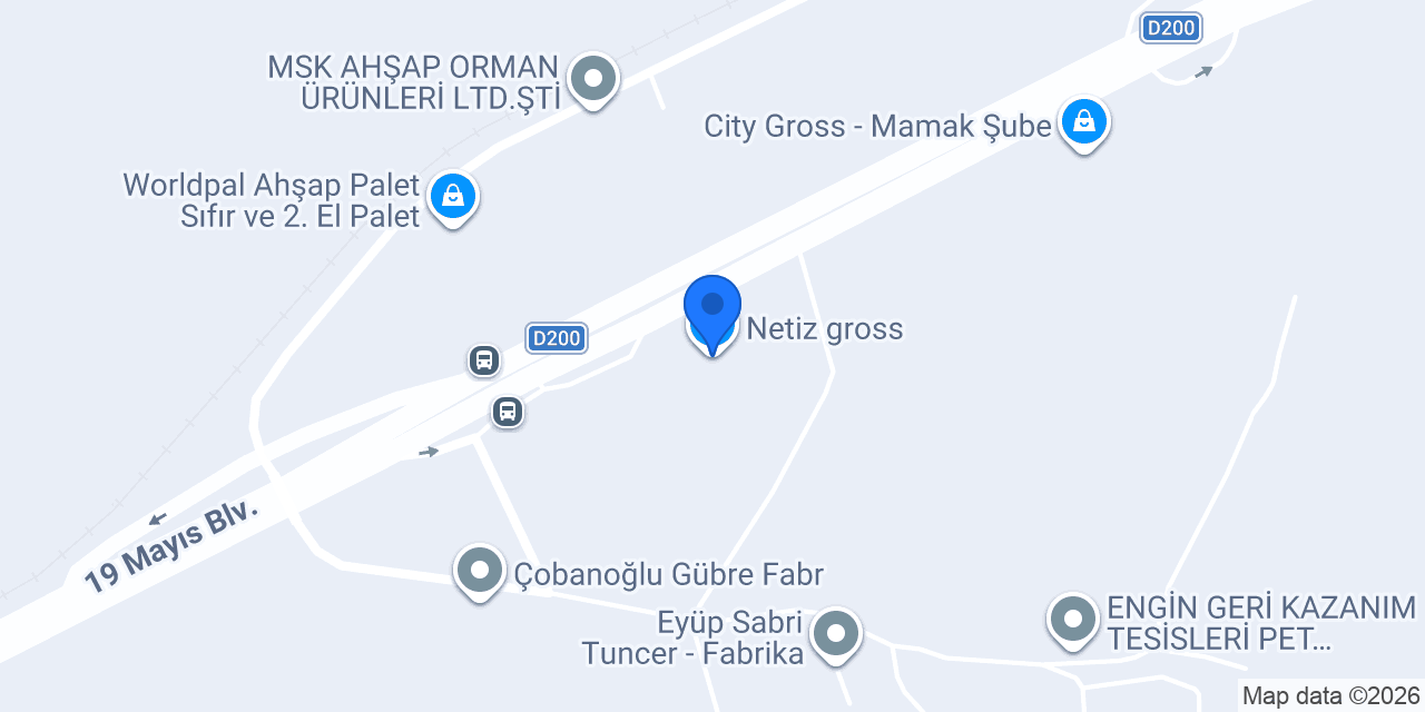 Netiz gross konumu
