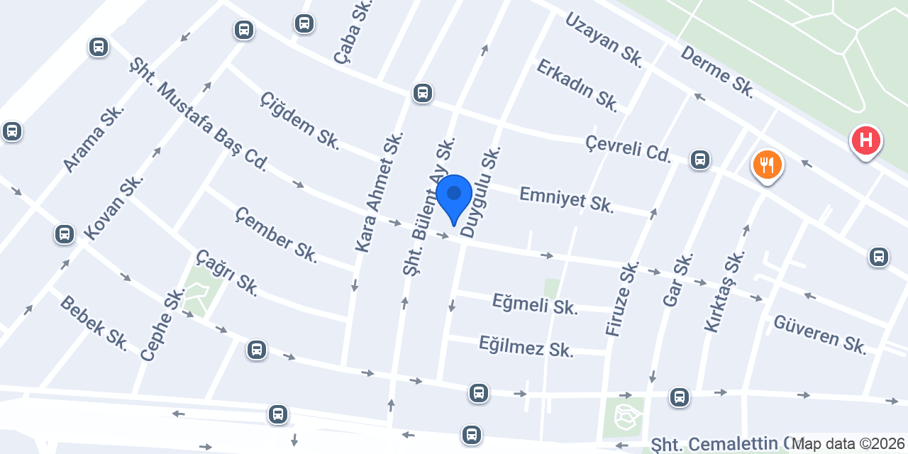 Erzincan Et konumu