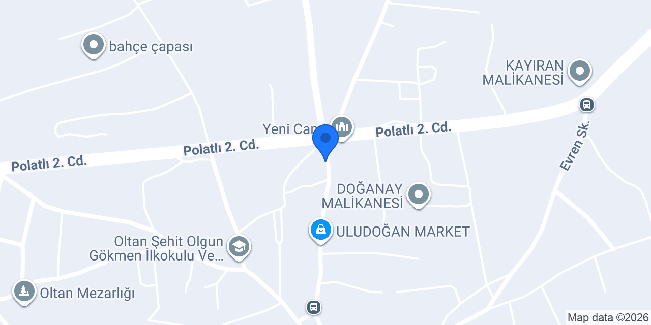 köklü doğal yumurta konumu