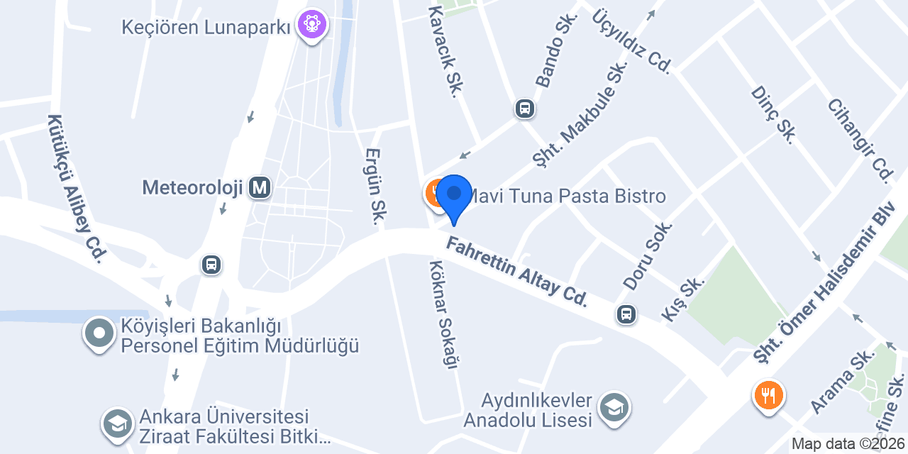 Live English Kurs konumu