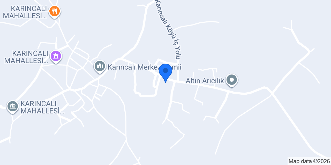 Karıncalı İlköğretim Okulu konumu