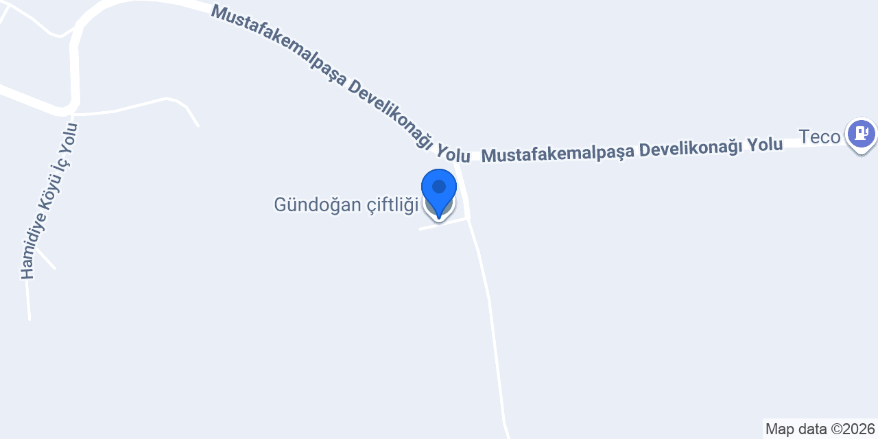 Gündoğan çiftliği konumu