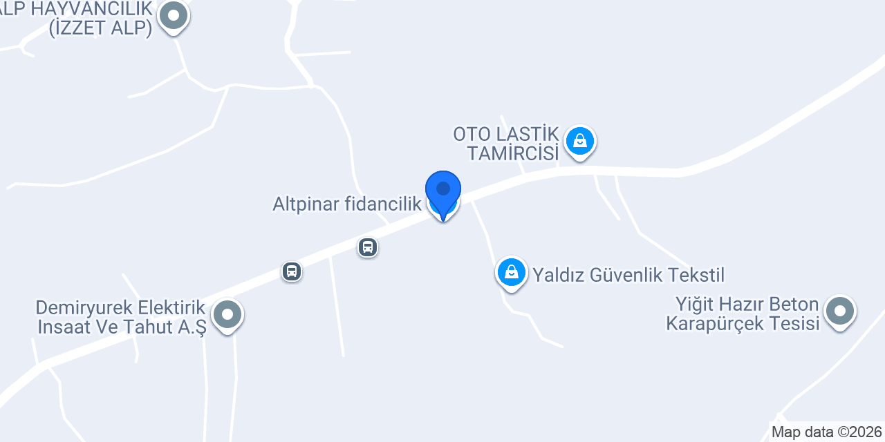 Altpinar fidancilik konumu