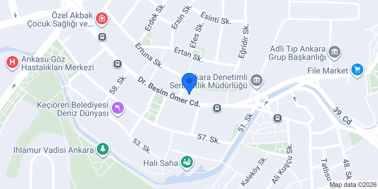 Pıoneer konumu
