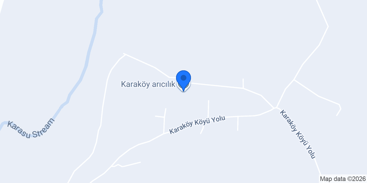 Karaköy arıcılık konumu