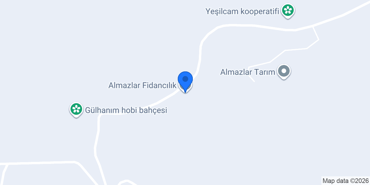 Almazlar Fidancılık konumu