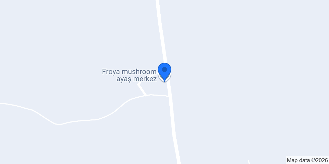 Froya mushroom ayaş merkez konumu