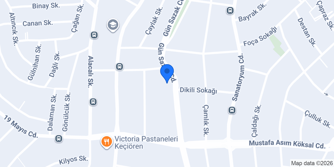 Seltuğ konumu