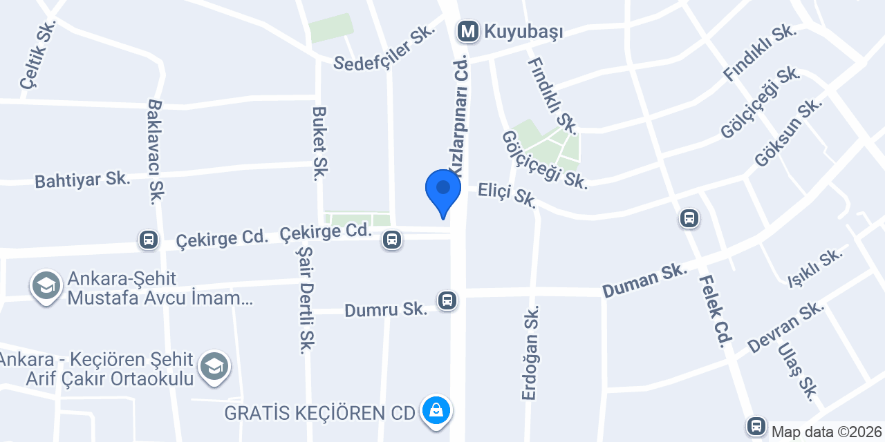 Japon Pazarı konumu