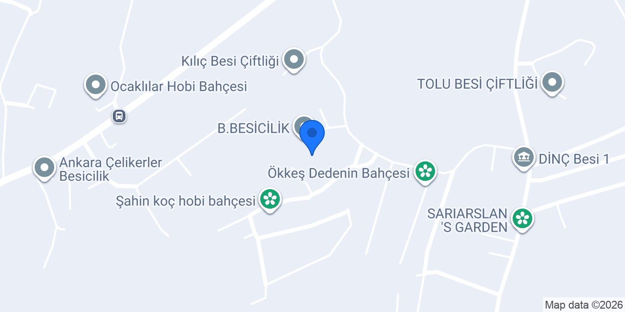 B.BESİCİLİK konumu