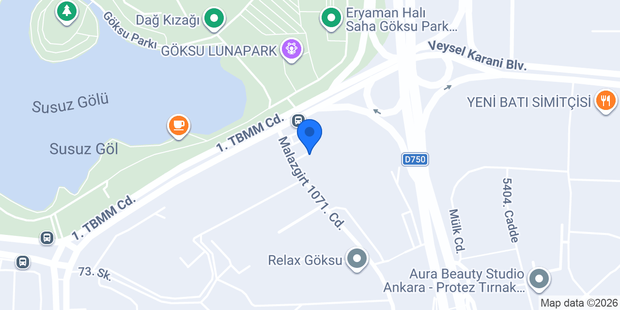 Doç. Dr. Ayşe Tunçer Vural konumu