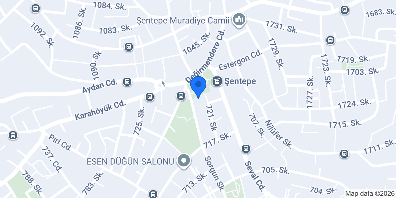 Elit halı dünyası konumu