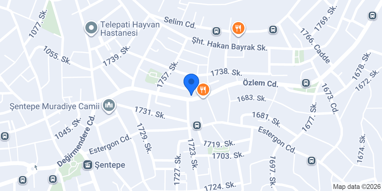 Doğukan Tomur Fotoğrafçılık konumu
