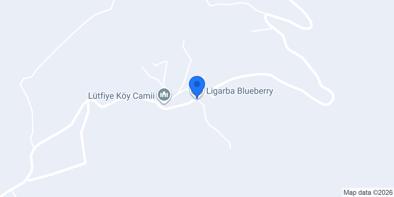 Ligarba Blueberry konumu