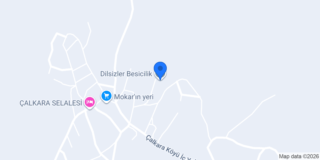 Dilsizler Besicilik konumu