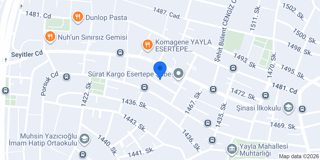 Tesla elektrik konumu