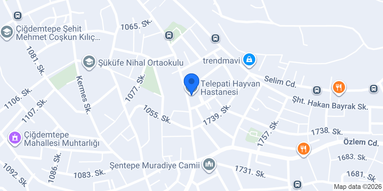Telepati Hayvan Hastanesi konumu