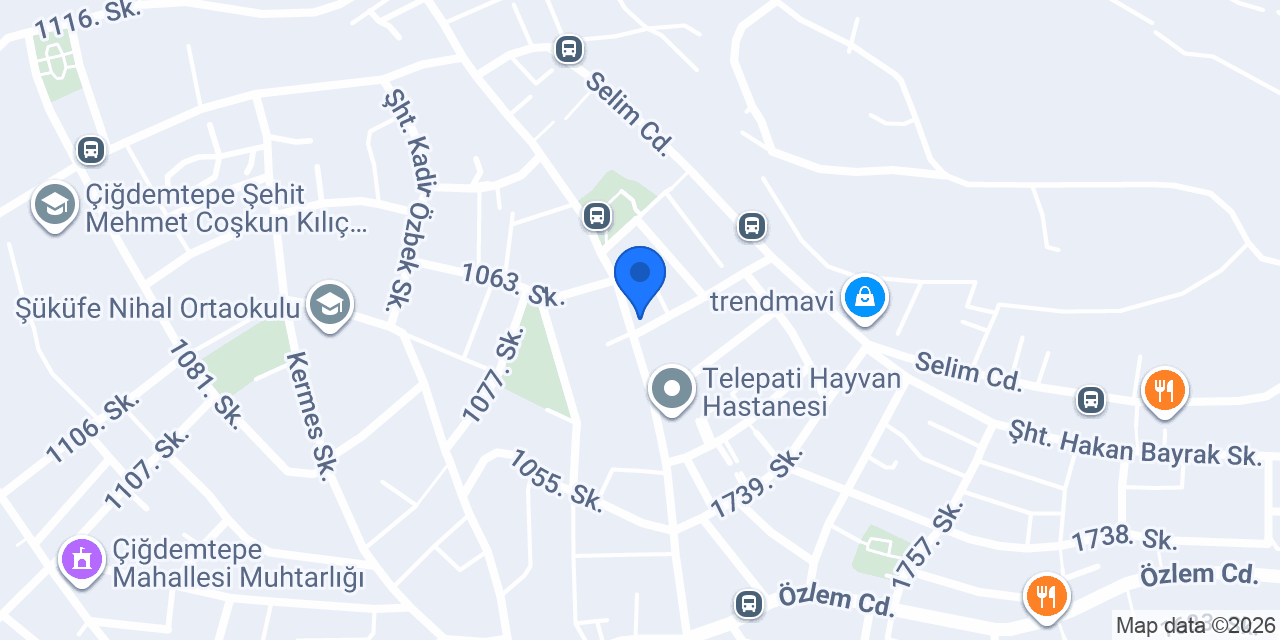 Almanca İngilizce Yeminli Tercüman Mütercim konumu