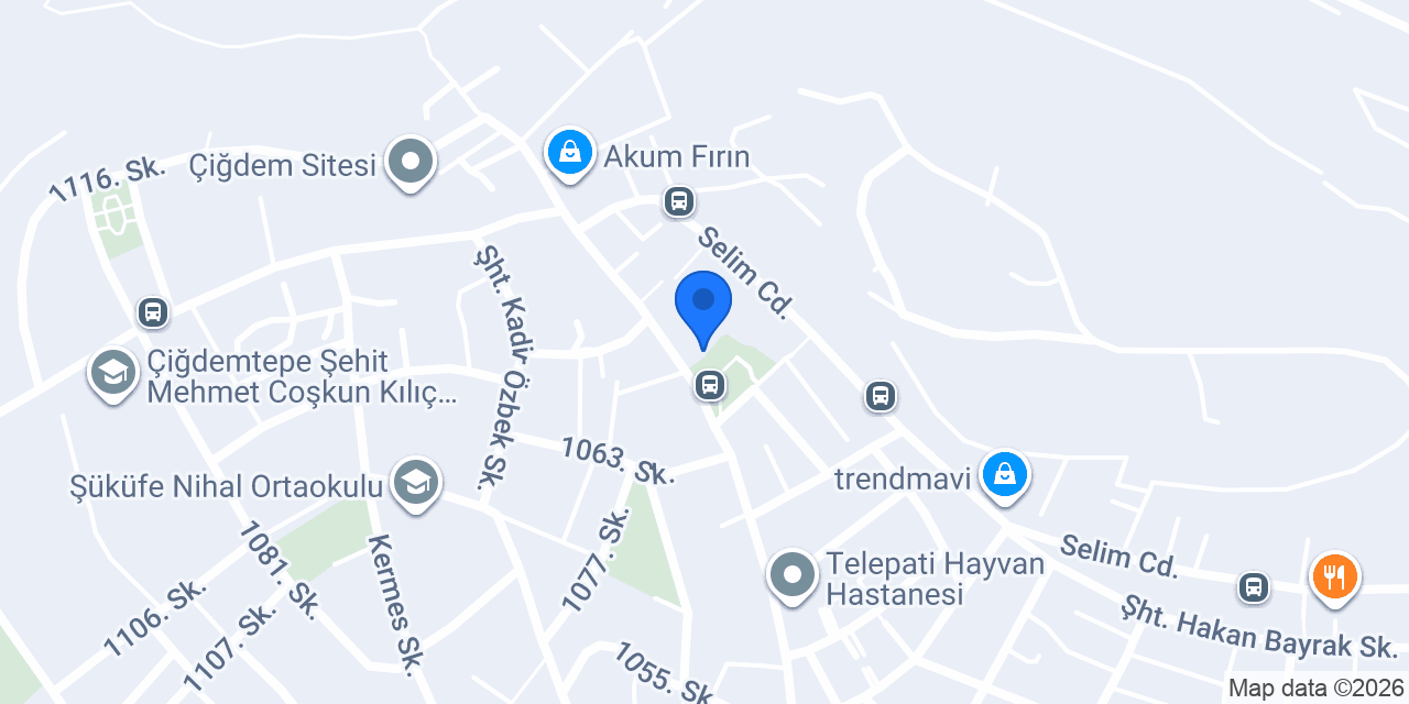 FEVZİ OTOMOTİV konumu