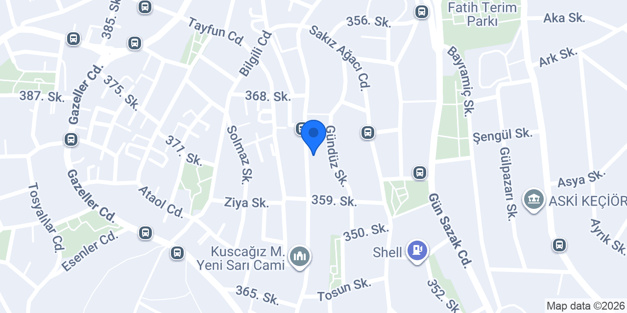 S grup otomotiv konumu
