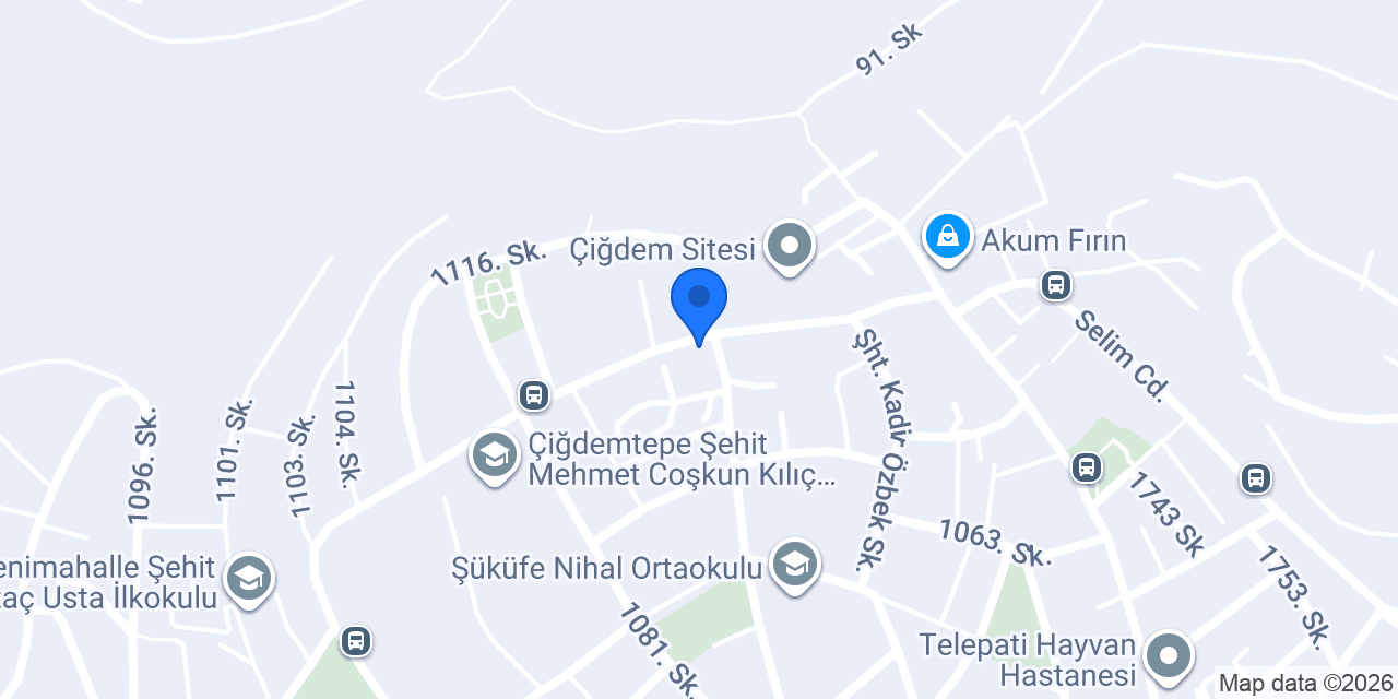 ARSLAN ELEKTRONİK konumu