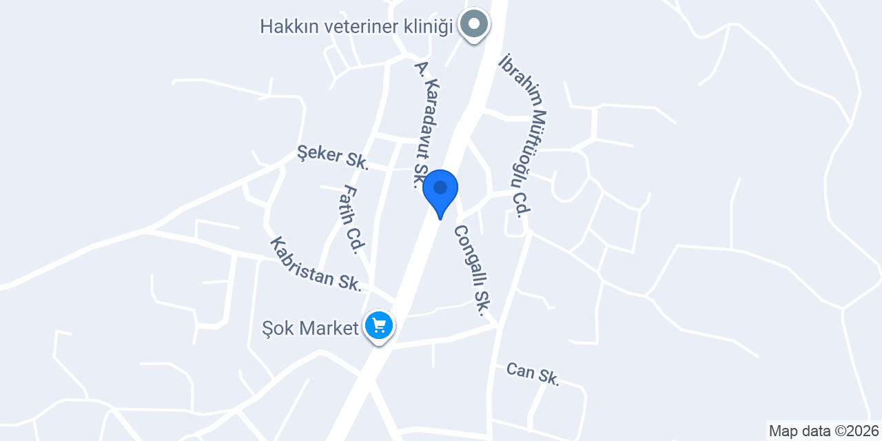 ÜNLÜ KASAP konumu