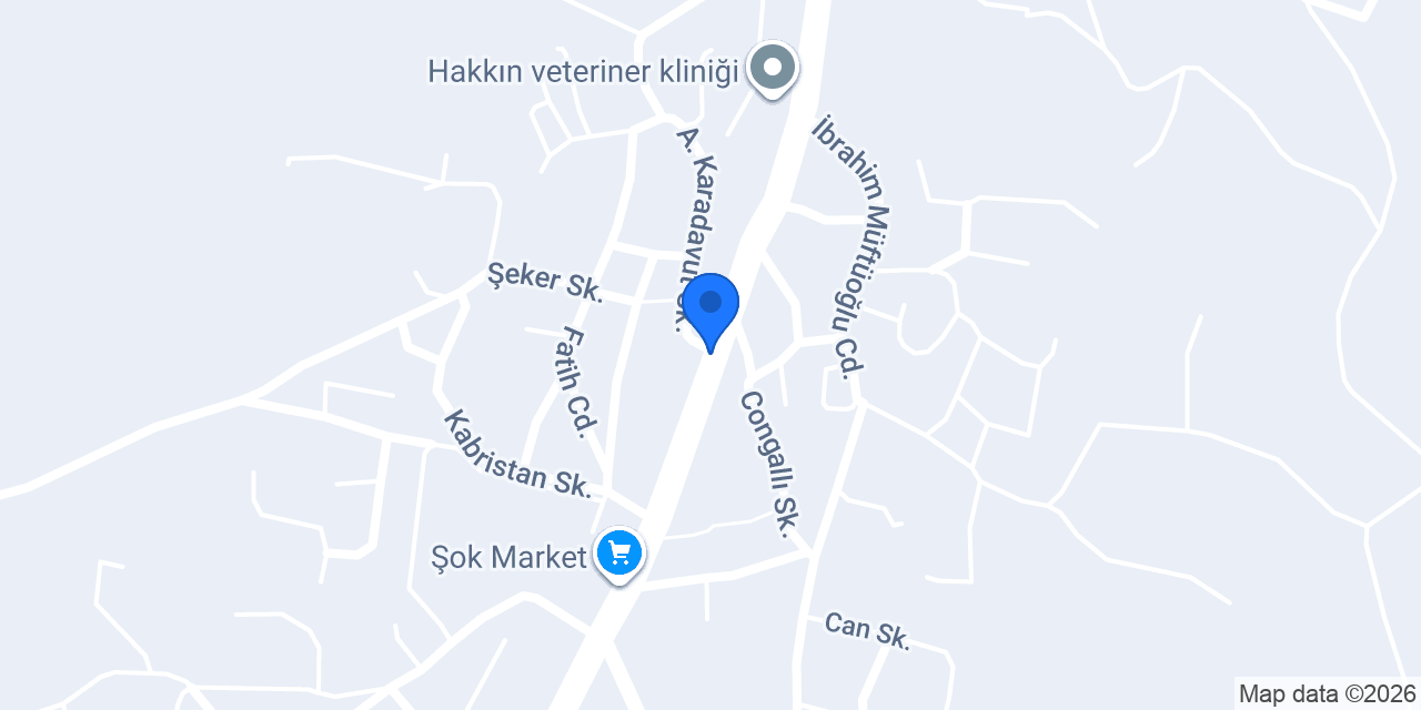 Ptt konumu