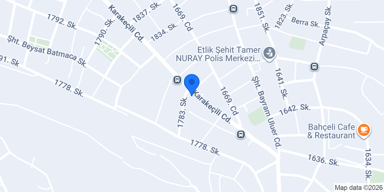 ÖZGÜR BÖREK konumu