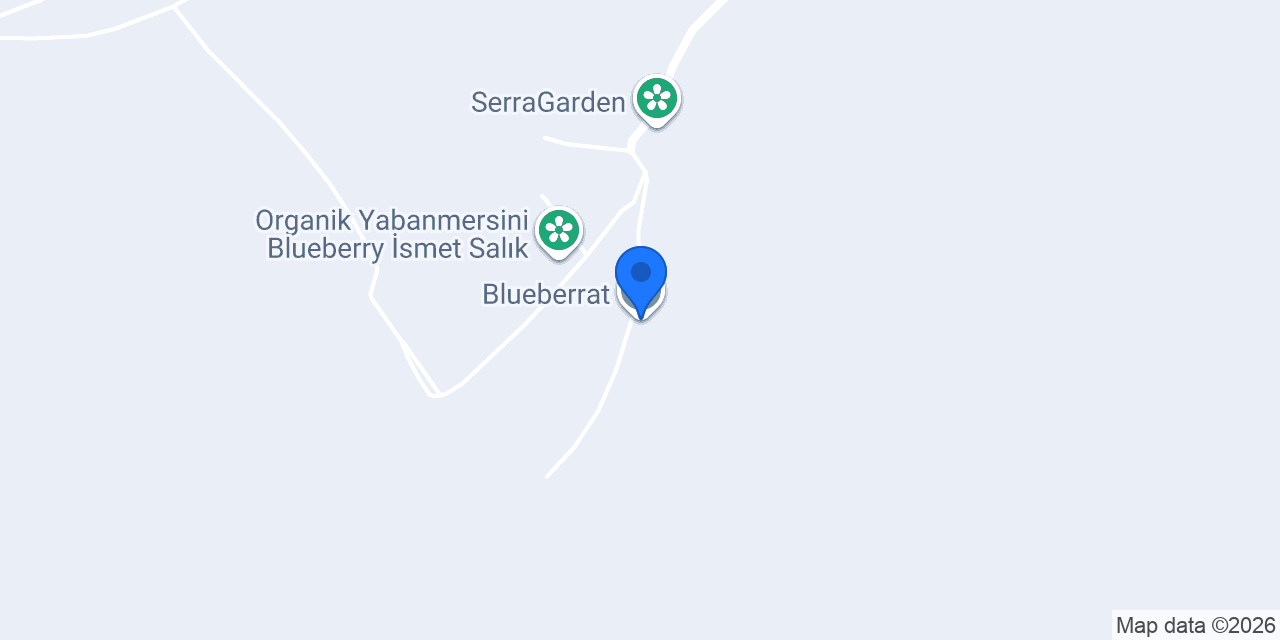 Blueberrat konumu