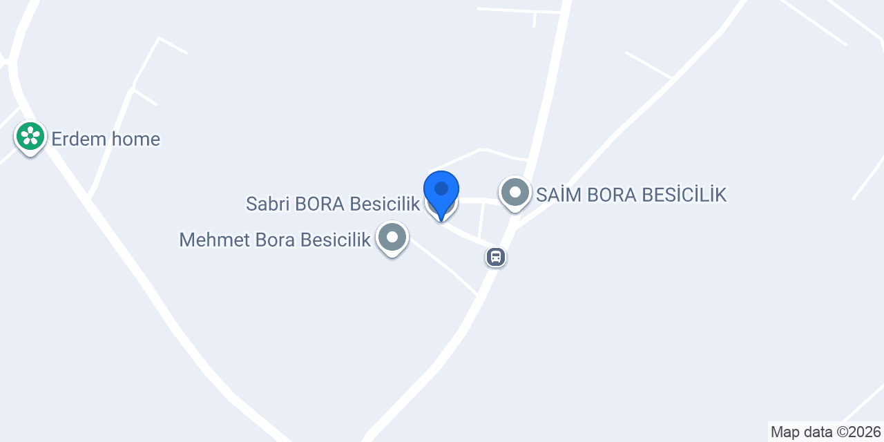 Sabri BORA Besicilik konumu