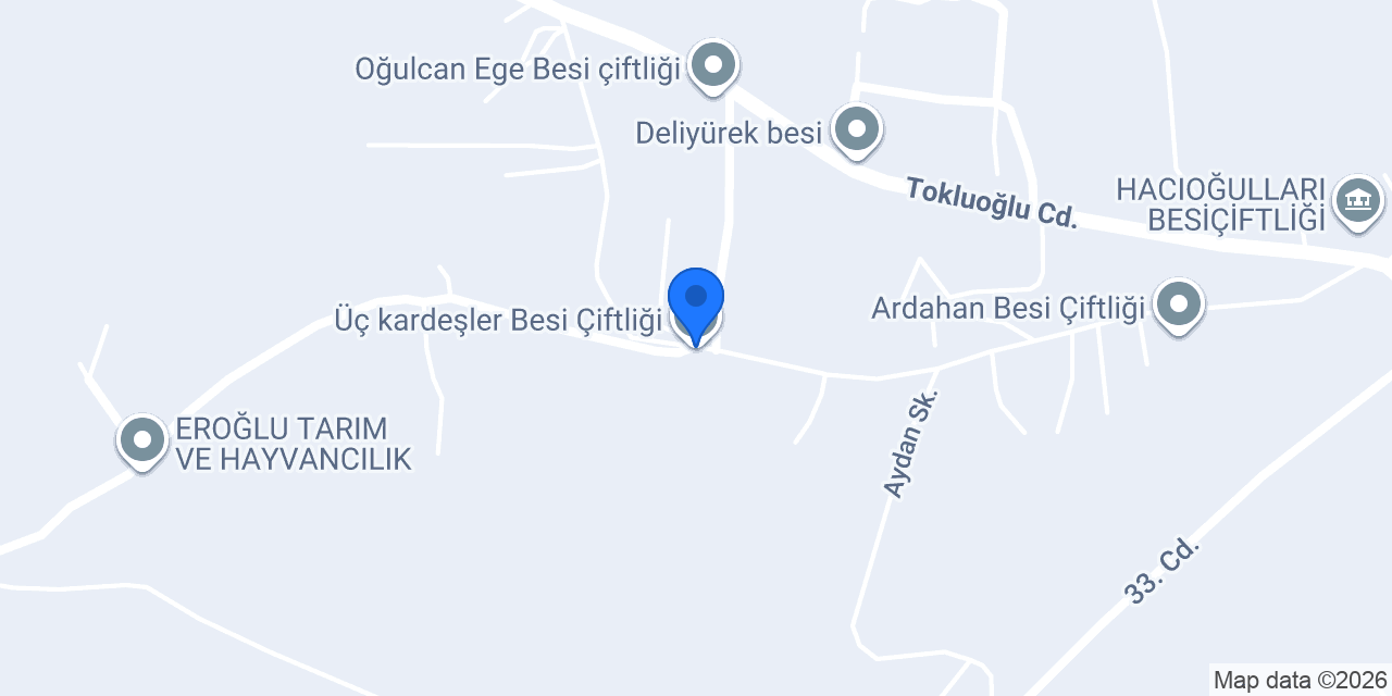 Üç kardeşler Besi Çiftliği konumu