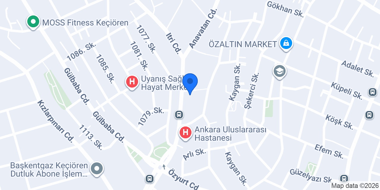 DAYI PETSHOP 2 konumu
