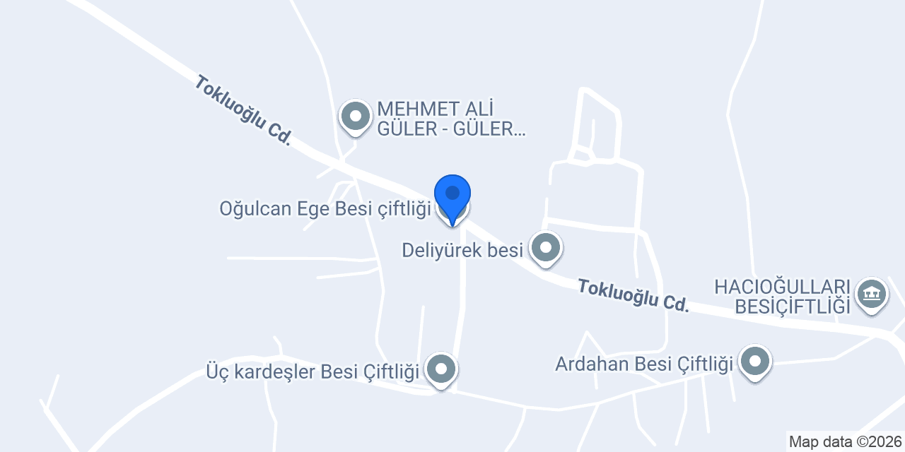 Oğulcan Ege Besi çiftliği konumu