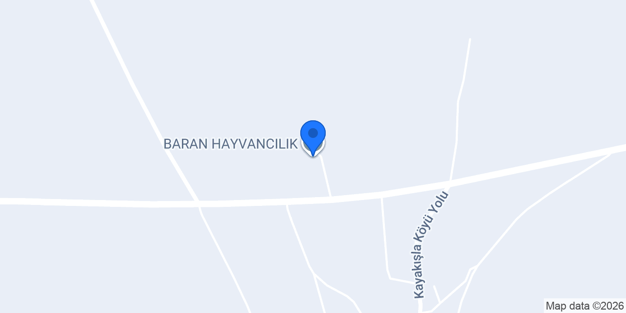 BARAN HAYVANCILIK konumu